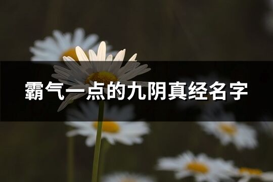 霸气一点的九阴真经名字(共297个)