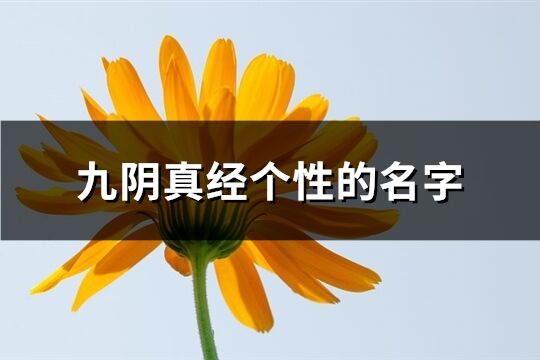 九阴真经个性的名字(共231个)