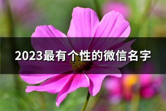 2023最有个性的微信名字(共2572个)