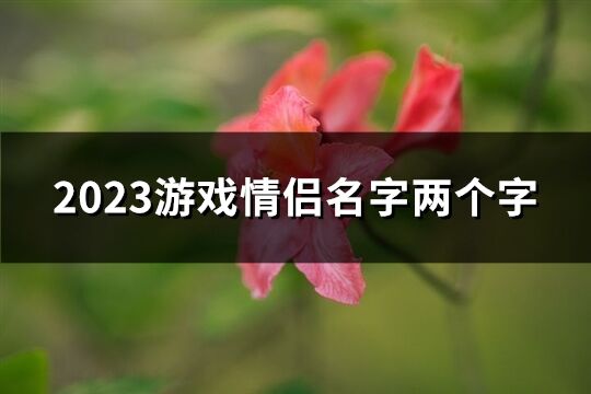 2023游戏情侣名字两个字(共447个)