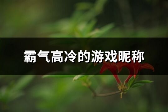 霸气高冷的游戏昵称(共351个)