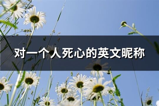 对一个人死心的英文昵称(精选101个)