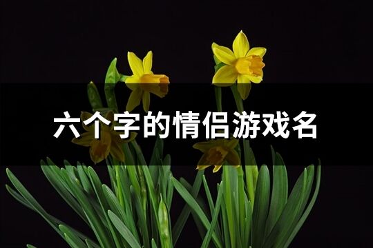 六个字的情侣游戏名(精选198个)