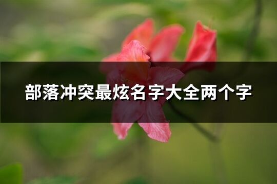 部落冲突最炫名字大全两个字(共638个)