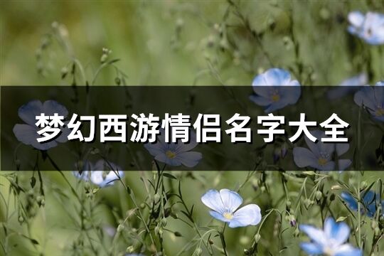 梦幻西游情侣名字大全(101个)