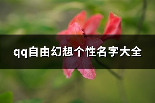 qq自由幻想个性名字大全(优选143个)