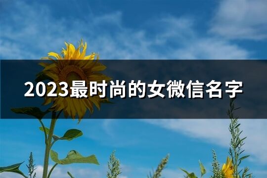 2023最时尚的女微信名字(优选2247个)