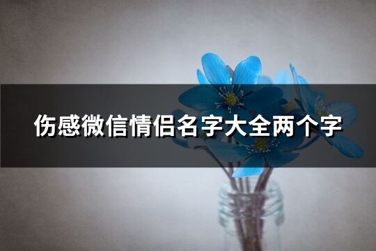 伤感微信情侣名字大全两个字(共173个)