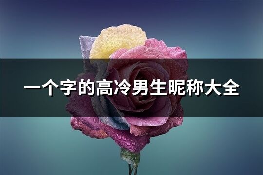 一个字的高冷男生昵称大全(优选56个)