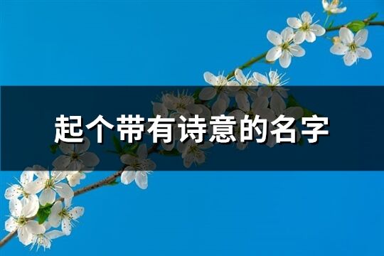 起个带有诗意的名字(精选705个)