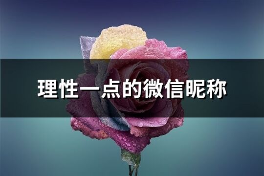 理性一点的微信昵称(优选179个)