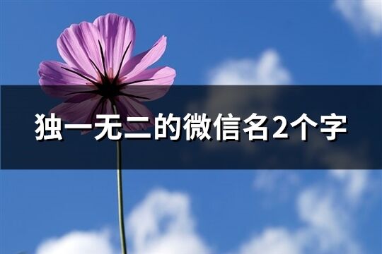 独一无二的微信名2个字(1709个)