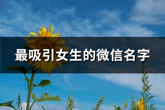 最吸引女生的微信名字(优选850个)