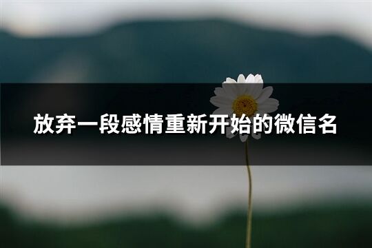 放弃一段感情重新开始的微信名(精选193个)