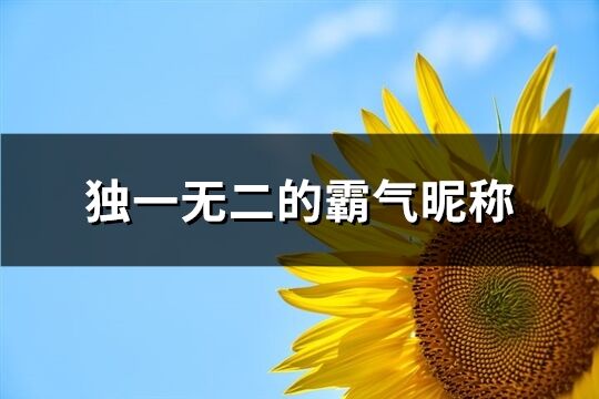 独一无二的霸气昵称(共278个)