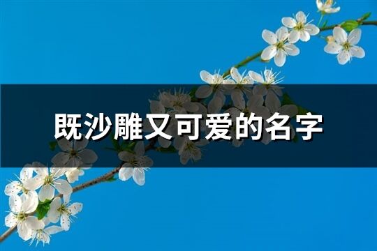 既沙雕又可爱的名字(共197个)