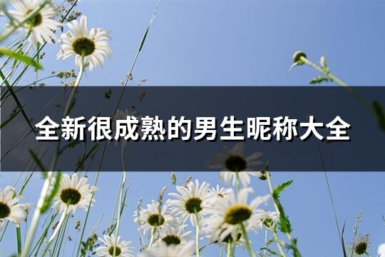 全新很成熟的男生昵称大全(共680个)