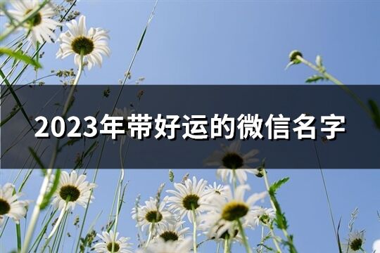 2023年带好运的微信名字(2309个)