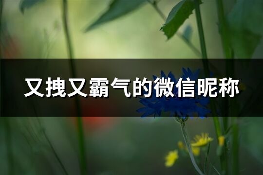 又拽又霸气的微信昵称(优选315个)