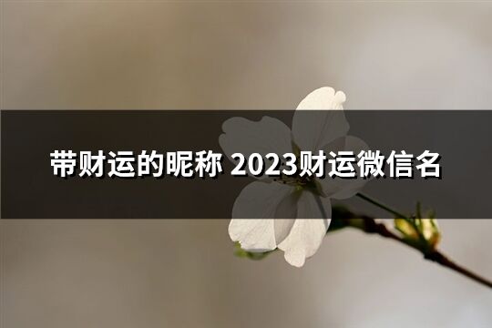 带财运的昵称 2023财运微信名(优选575个)