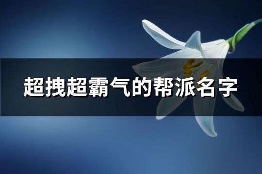 超拽超霸气的帮派名字(393个)