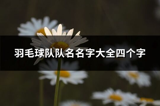 羽毛球队队名名字大全四个字(优选81个)