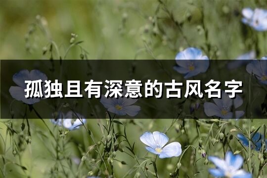 孤独且有深意的古风名字(共135个)