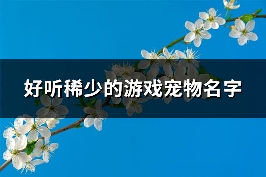 好听稀少的游戏宠物名字(146个)