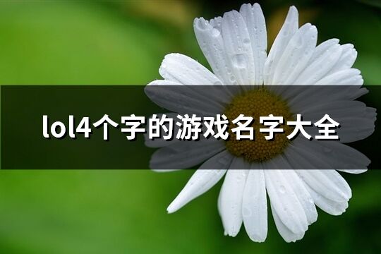 lol4个字的游戏名字大全(共511个)