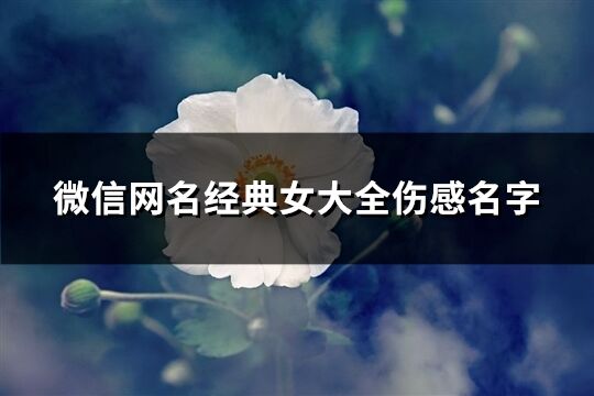 微信网名经典女大全伤感名字(优选361个)