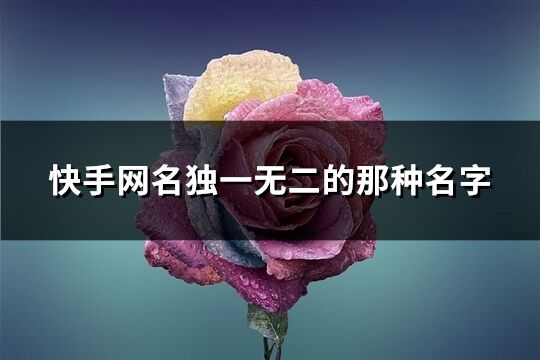 快手网名独一无二的那种名字(精选259个)