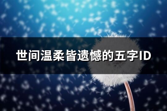 世间温柔皆遗憾的五字ID(精选651个)