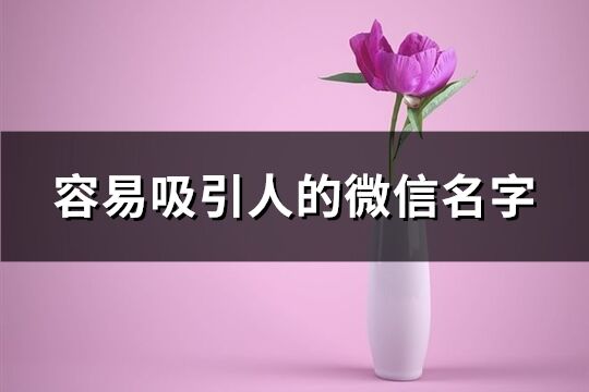 容易吸引人的微信名字(共788个)