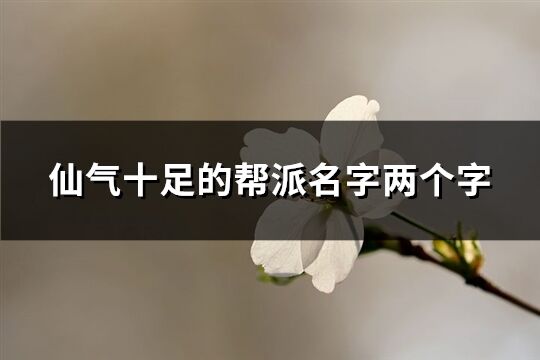 仙气十足的帮派名字两个字(184个)