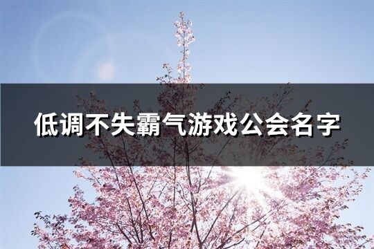 低调不失霸气游戏公会名字(398个)