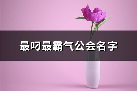 最叼最霸气公会名字(优选340个)