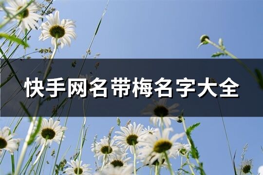 快手网名带梅名字大全(精选119个)