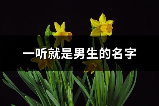 一听就是男生的名字(优选140个)