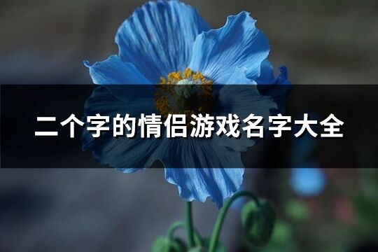 二个字的情侣游戏名字大全(116个)