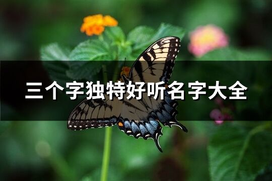 三个字独特好听名字大全(920个)