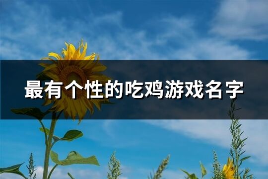 最有个性的吃鸡游戏名字(共305个)