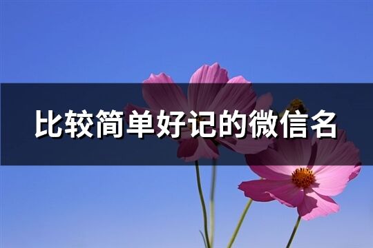 比较简单好记的微信名(精选484个)