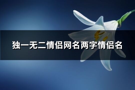 独一无二情侣网名两字情侣名(共226个)