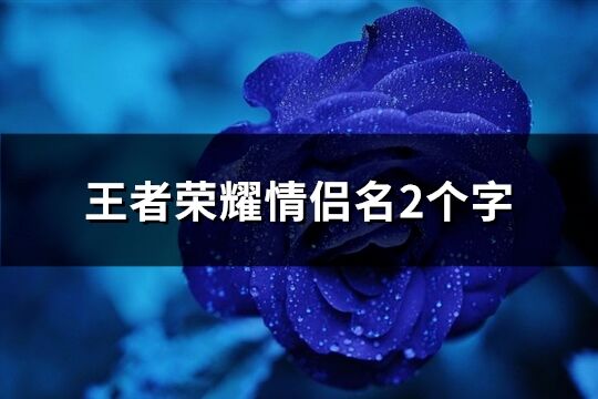 王者荣耀情侣名2个字(优选242个)