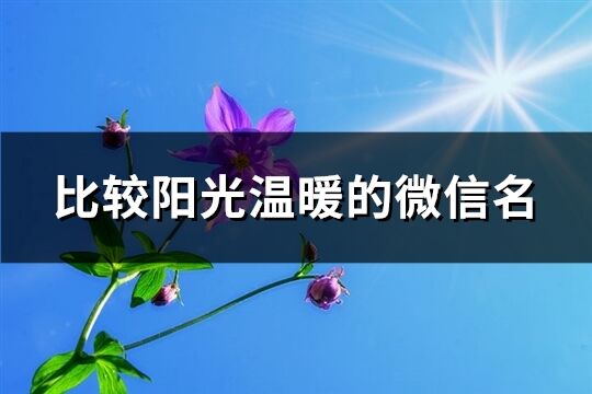 比较阳光温暖的微信名(优选328个)