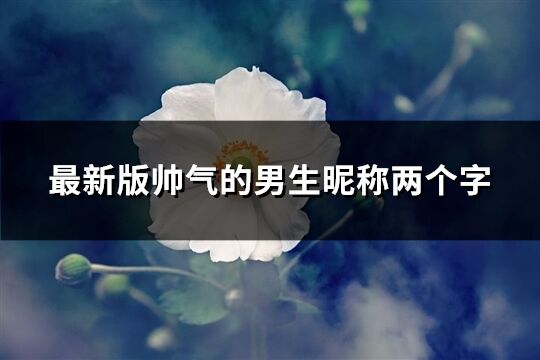 最新版帅气的男生昵称两个字(共683个)