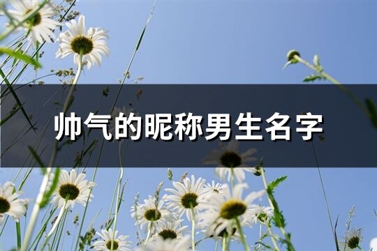 帅气的昵称男生名字(共575个)