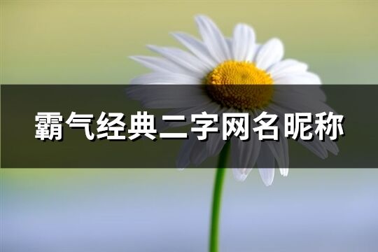 霸气经典二字网名昵称(共859个)