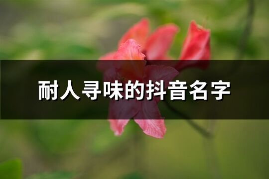 耐人寻味的抖音名字(2578个)