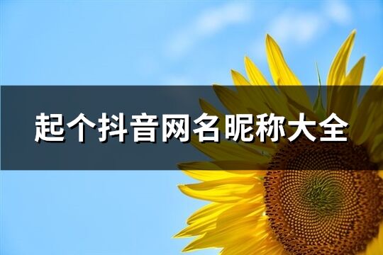 起个抖音网名昵称大全(1367个)